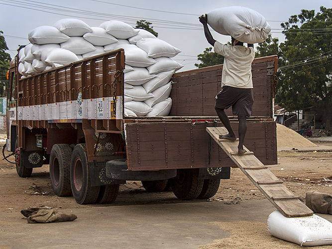 Loading the Trucks 1-Thekkady